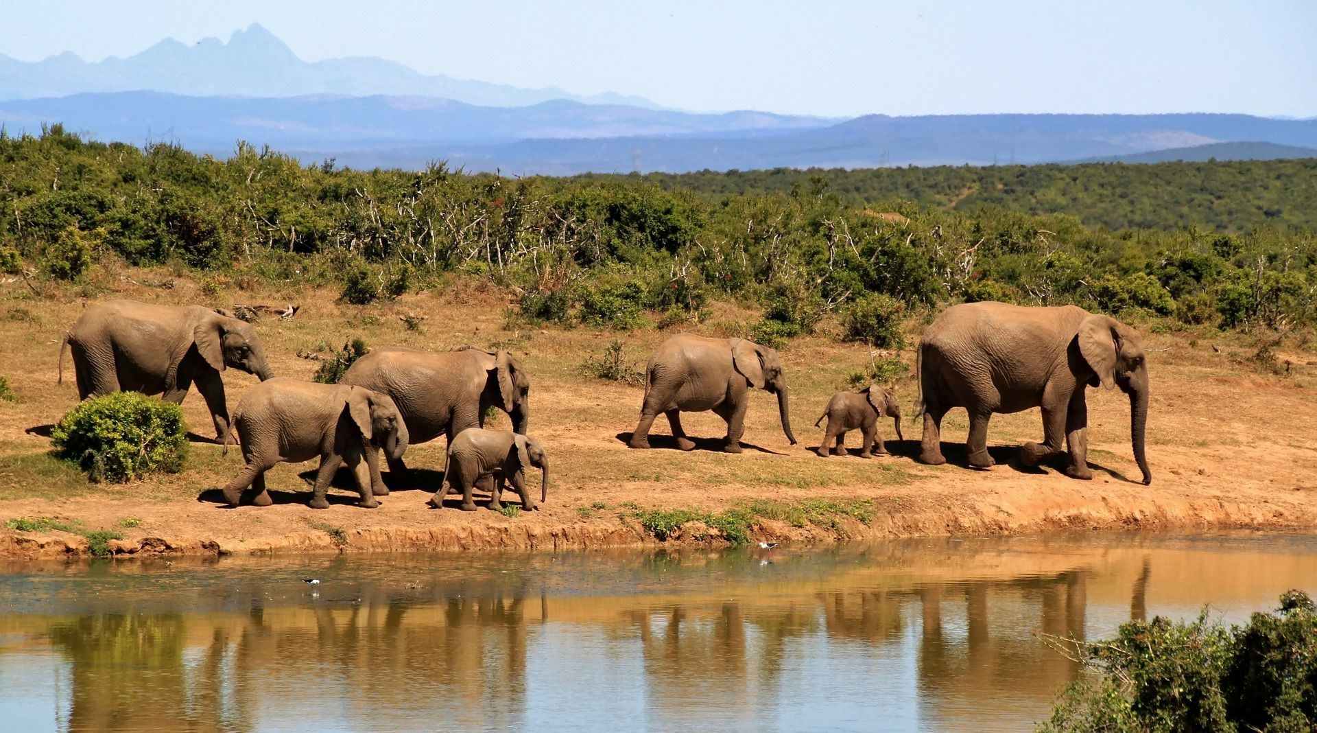 4. PLAN AN EPIC ADVENTURE